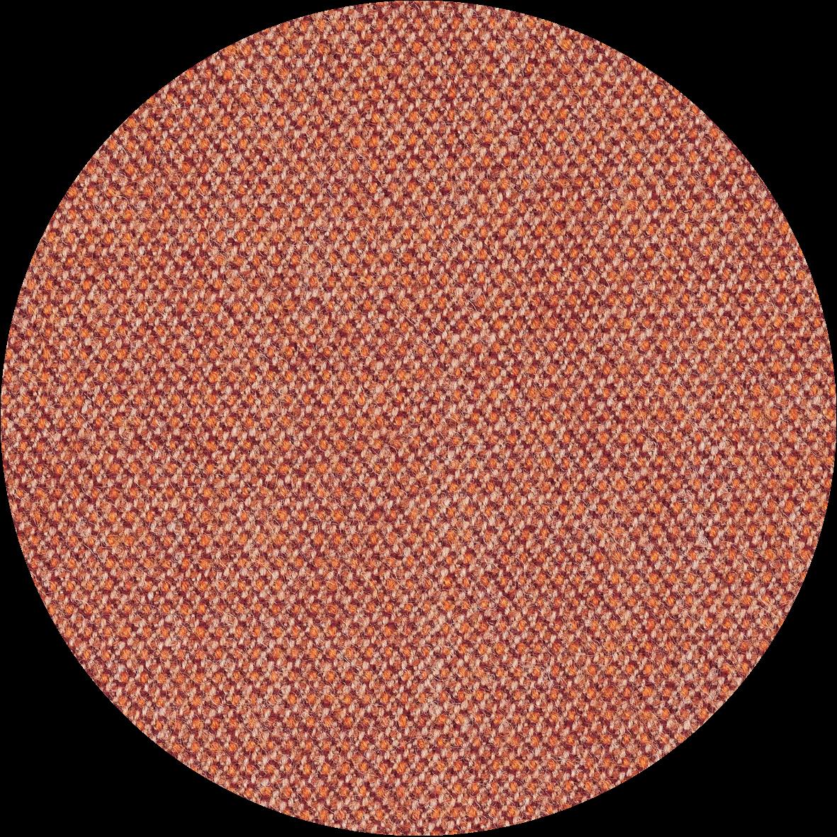 CPT4301 - Coral