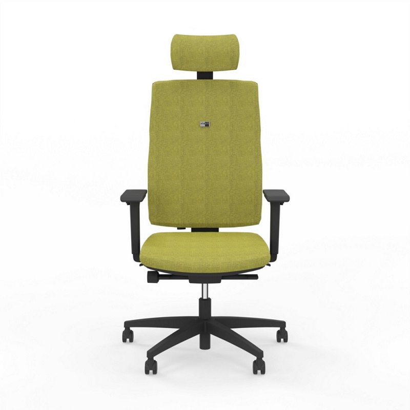 Viasit Linea Polsterrücken 60cm