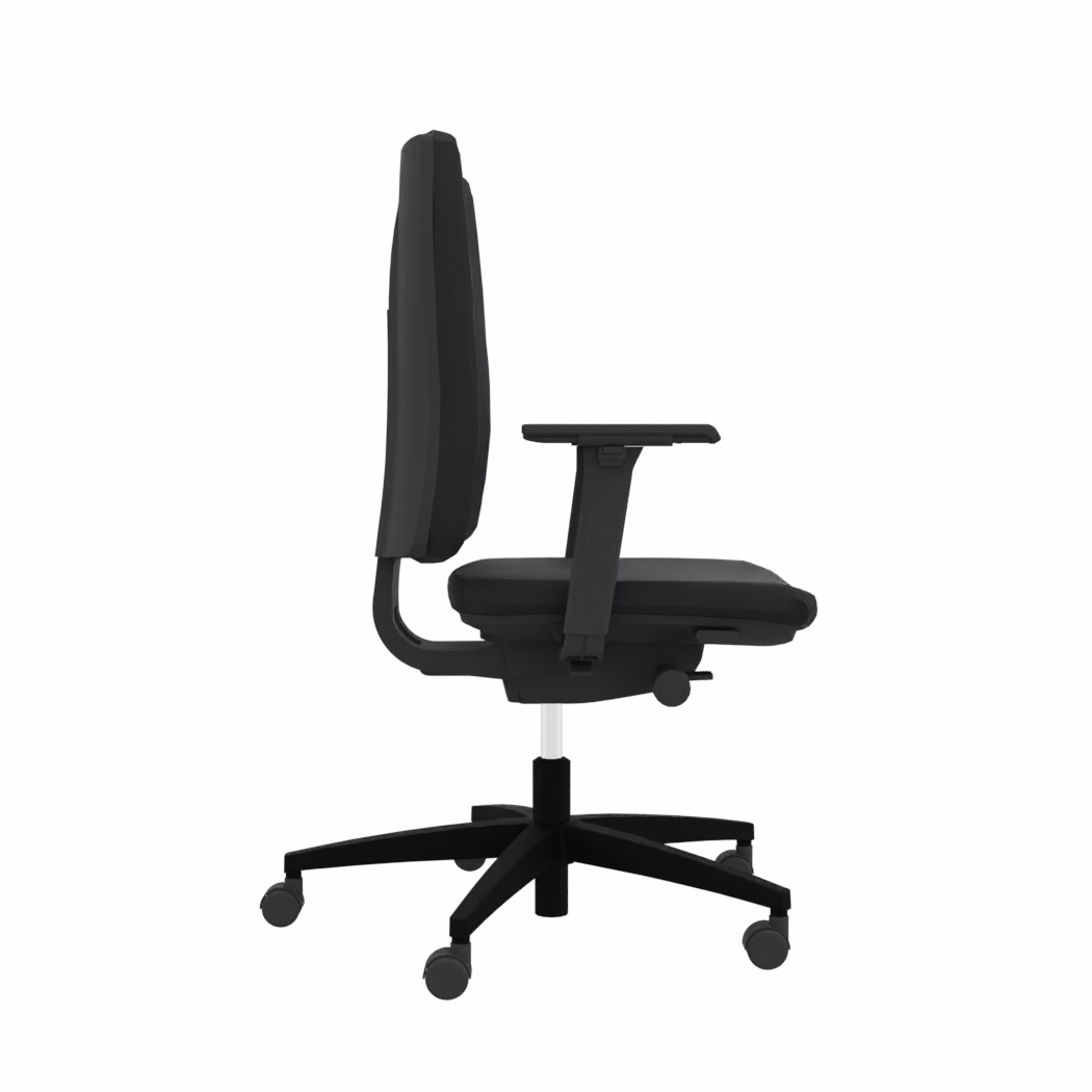 Viasit Linea Polsterrücken 52 cm in Schwarz mit 3D-Armlehnen
