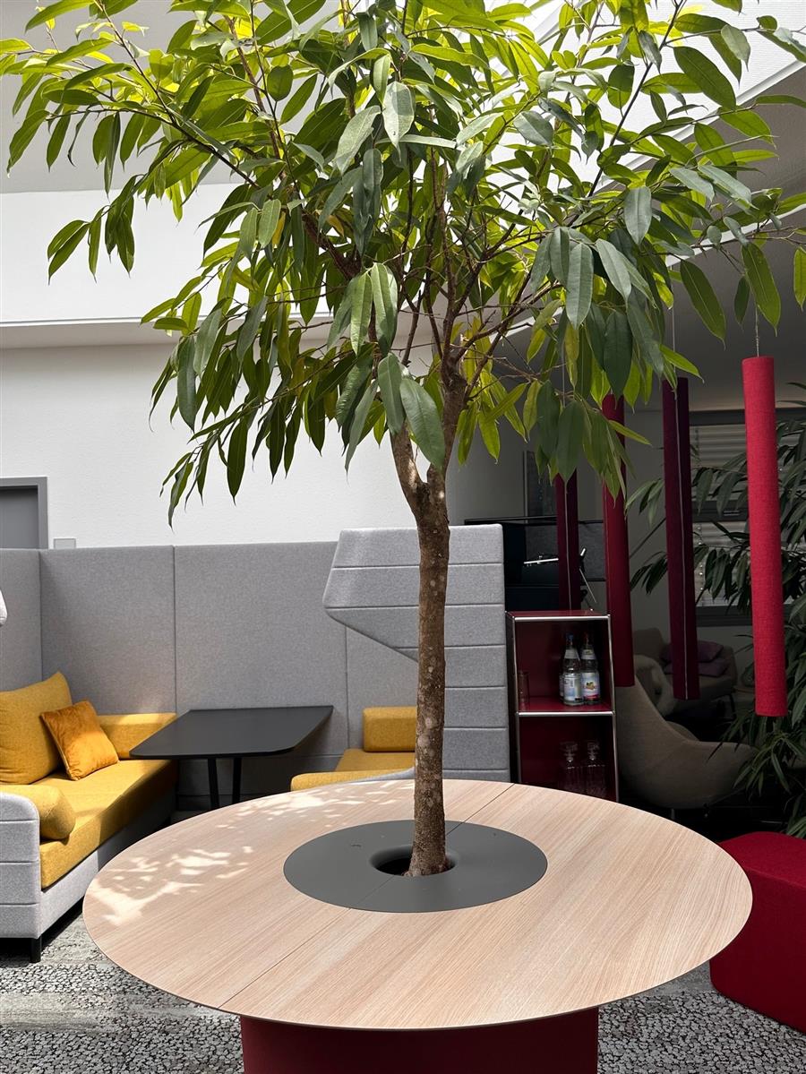 Offecct On Point Tisch Ausstellungsstück