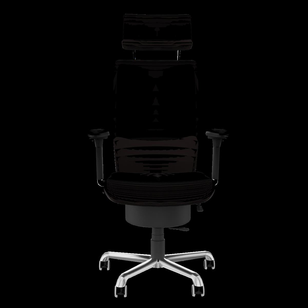Pending Spirit Pro Ledersessel Schnellieferprogramm