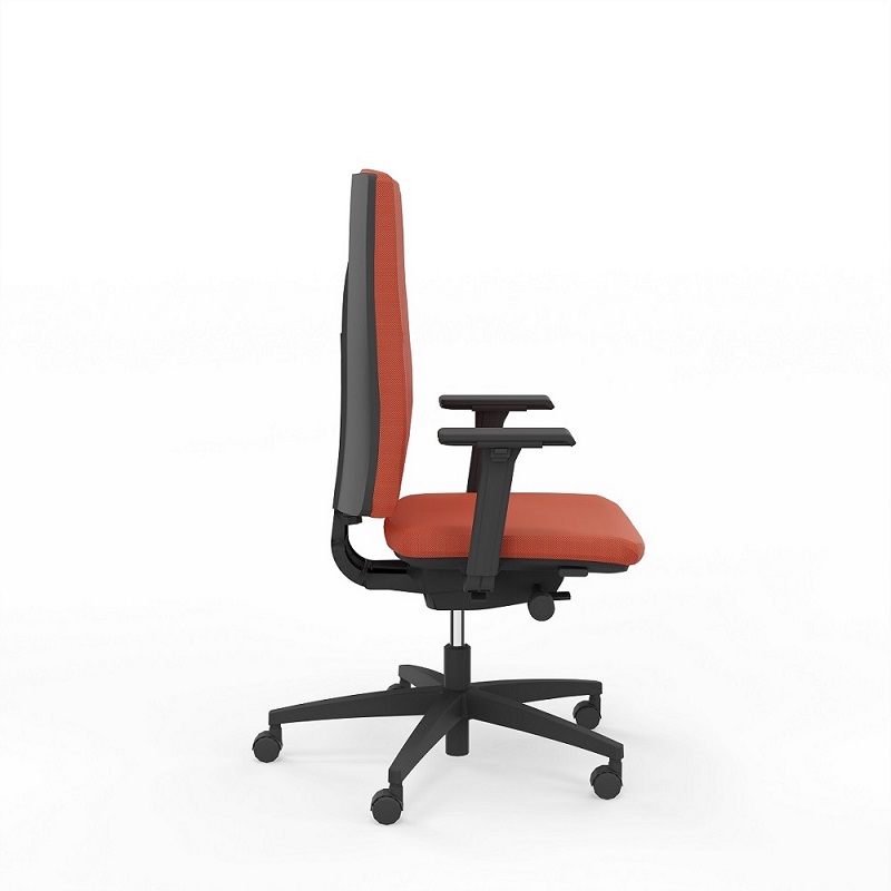 Viasit Linea Polsterrücken 46cm